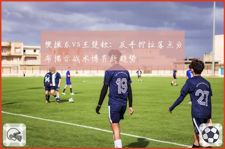 樊振东vs王楚钦:反手拧拉落点分布揭示战术博弈新趋势