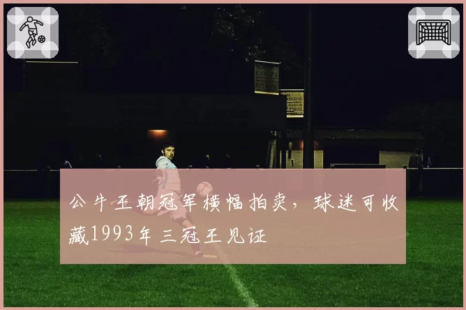 公牛王朝冠军横幅拍卖，球迷可收藏1993年三冠王见证