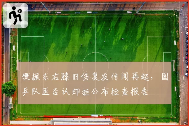 樊振东右膝旧伤复发传闻再起,国乒队医否认却拒公布检查报告