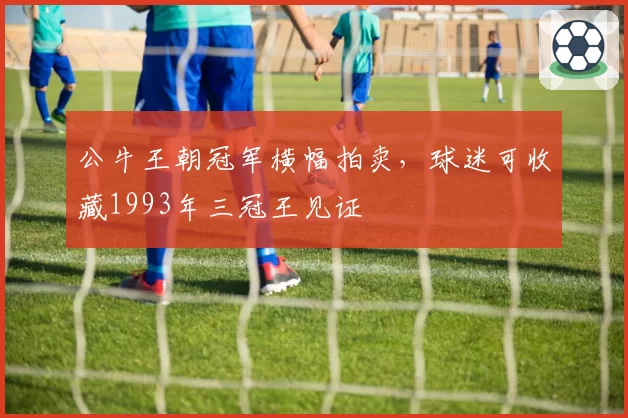公牛王朝冠军横幅拍卖,球迷可收藏1993年三冠王见证