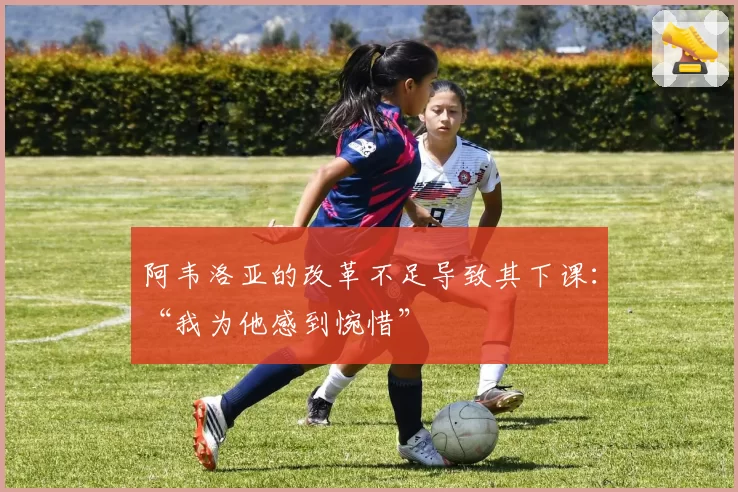 阿韦洛亚的改革不足导致其下课：“我为他感到惋惜”