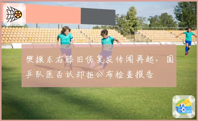 樊振东右膝旧伤复发传闻再起,国乒队医否认却拒公布检查报告